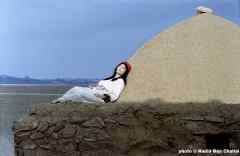 Zohre & manouchehr - Tabous Zohre & manouchehr - Tabous