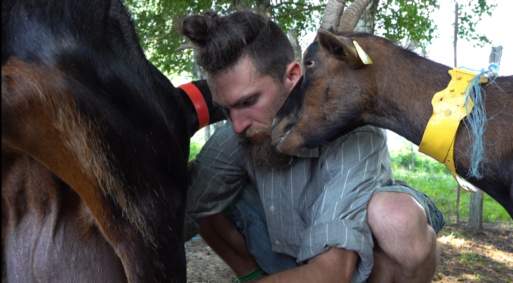 La Réponse des bergers La Réponse des bergers