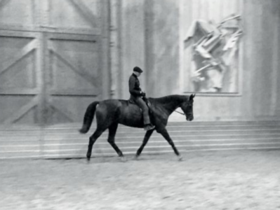 media - © Melisande Films - Zingaro media - © Melisande Films - Zingaro