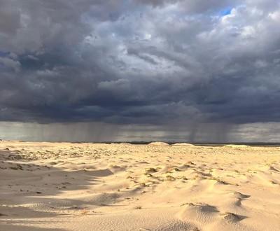 Winds : an Invisible Strength Winds : an Invisible Strength