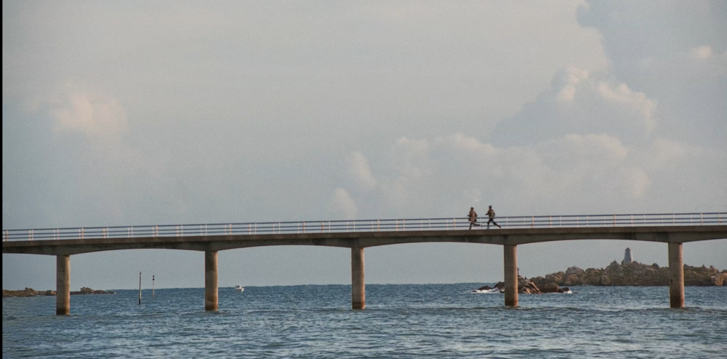 Two Idiots Two Idiots