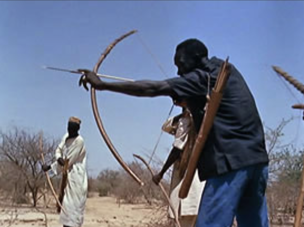 A Lion called the American A Lion called the American