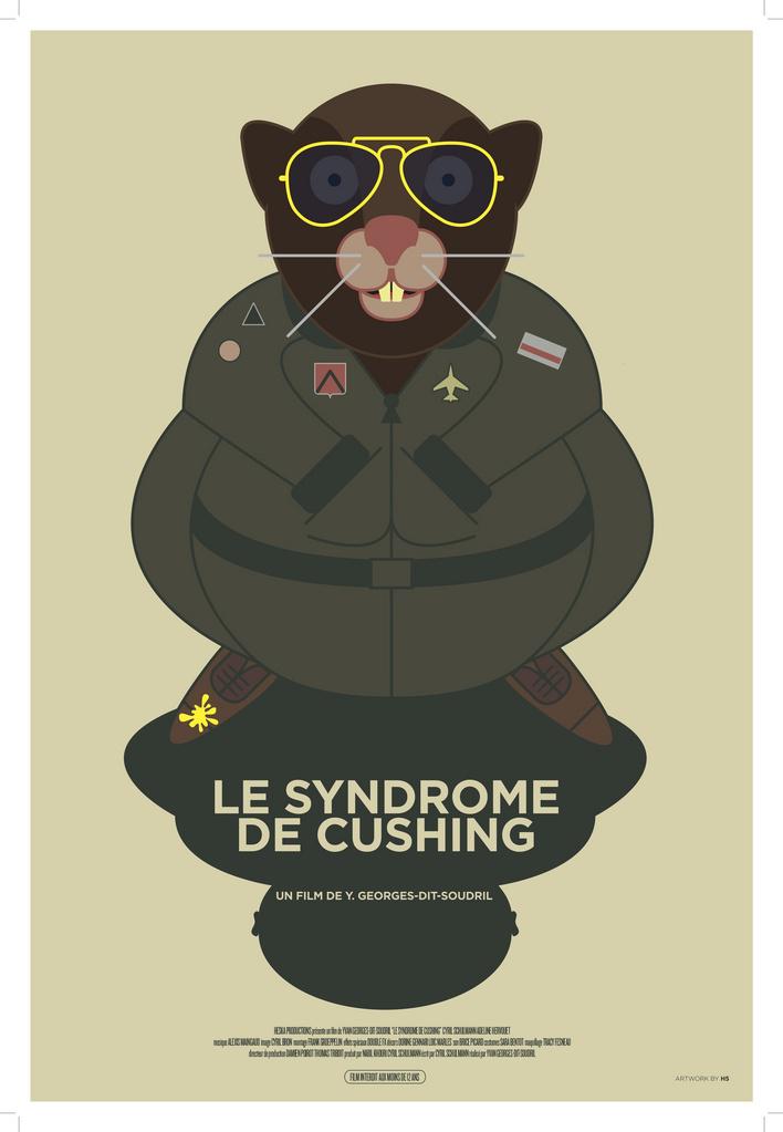 Le Syndrome de Cushing Le Syndrome de Cushing
