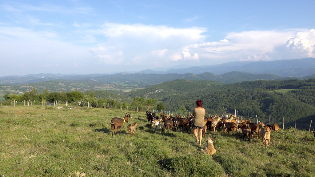 La Réponse des bergers La Réponse des bergers