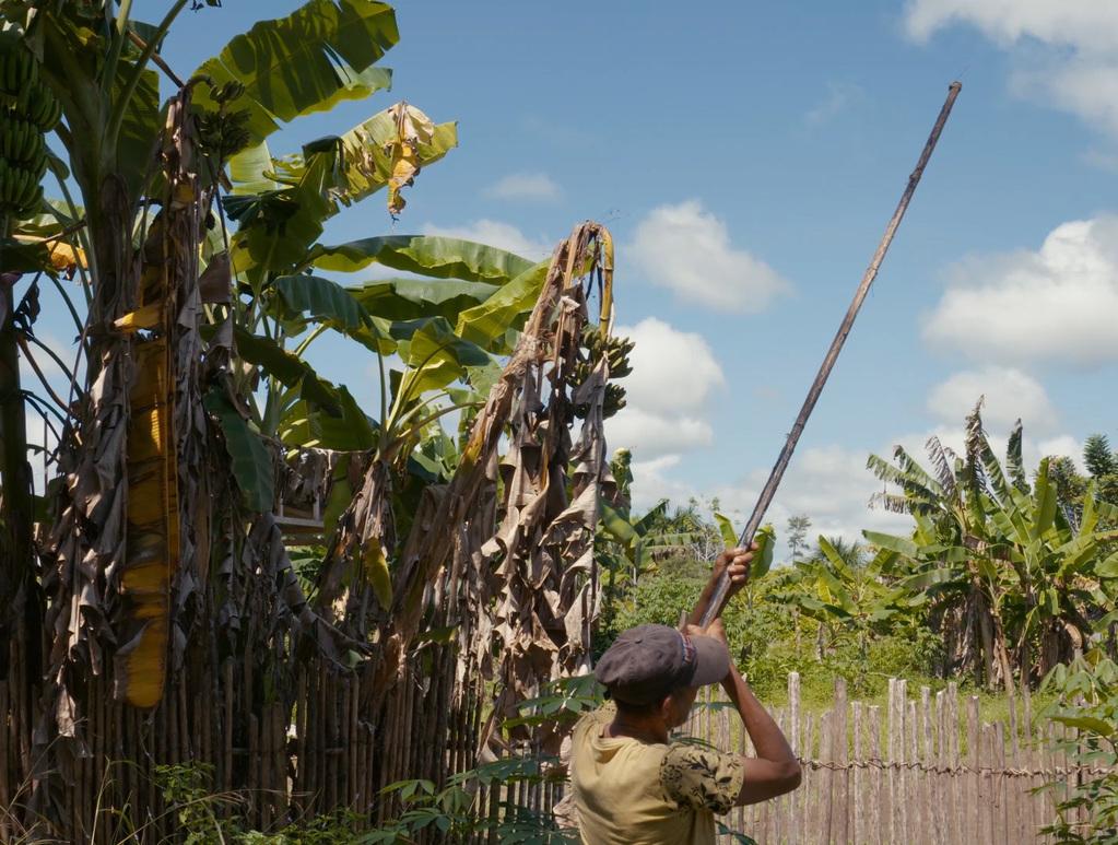La Desaparición La Desaparición