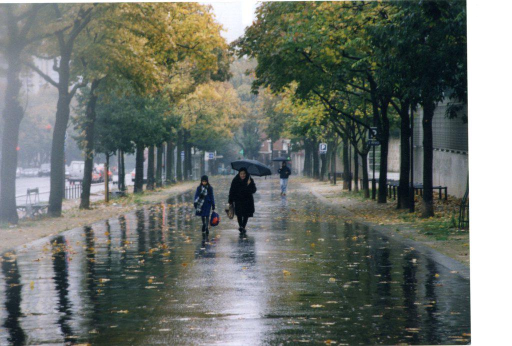 Festival du Film court en Plein air de Grenoble - 2002