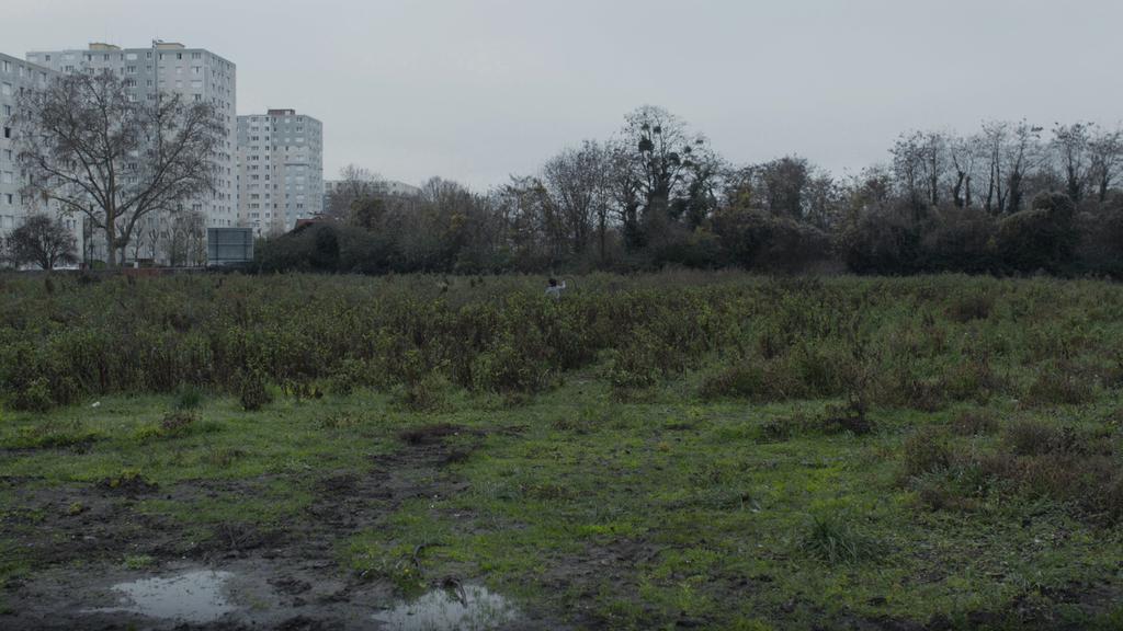 Le Serpent Le Serpent