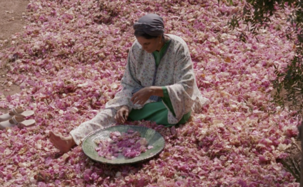 Shaden Adela Safieddine Tazi