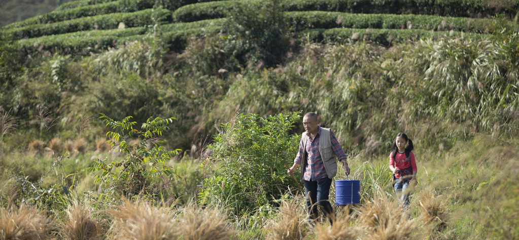 13 films et coproductions françaises en lice pour l'Oscar du Meilleur film étranger 13 films et coproductions françaises en lice pour l'Oscar du Meilleur film étranger