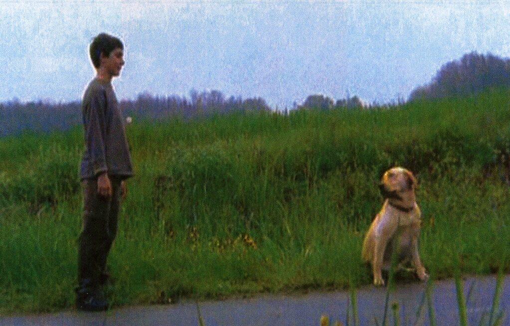 Pas bouger ! Pas bouger !