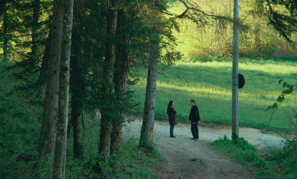 The White Flowers and the Moon The White Flowers and the Moon