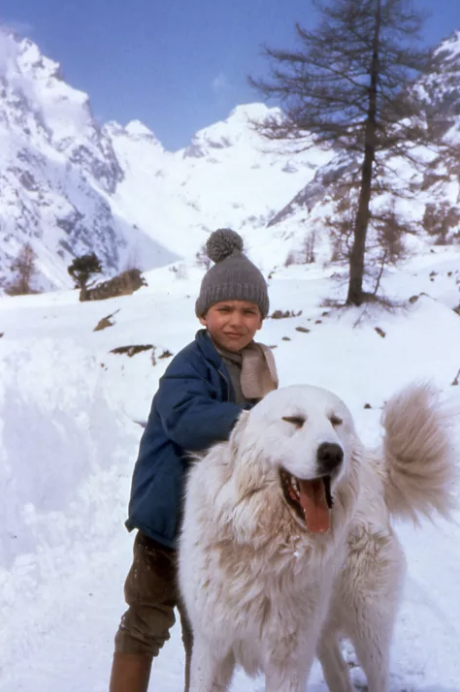 Belle and Sebastian - © Gaumont - ORTF Belle and Sebastian - © Gaumont - ORTF