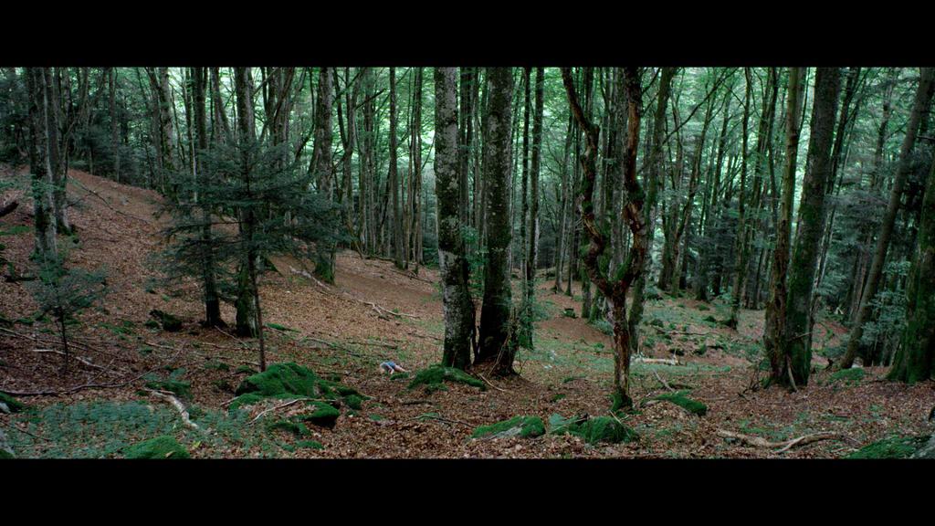 Sur la terre, des orages Sur la terre, des orages