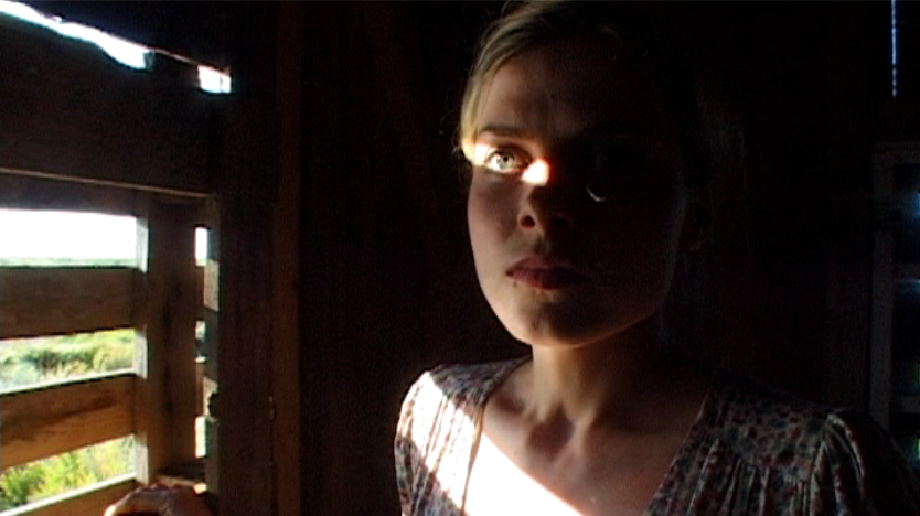 Les Guêpes Les Guêpes