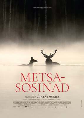 Le Chant des forêts - Estonia Le Chant des forêts - Estonia