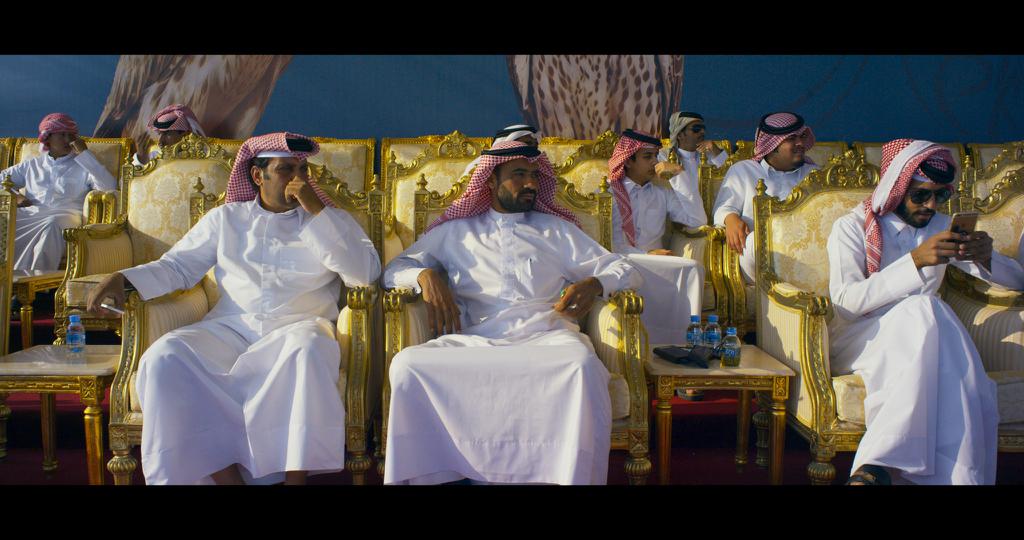 Dubai International Film Festival  - 2016