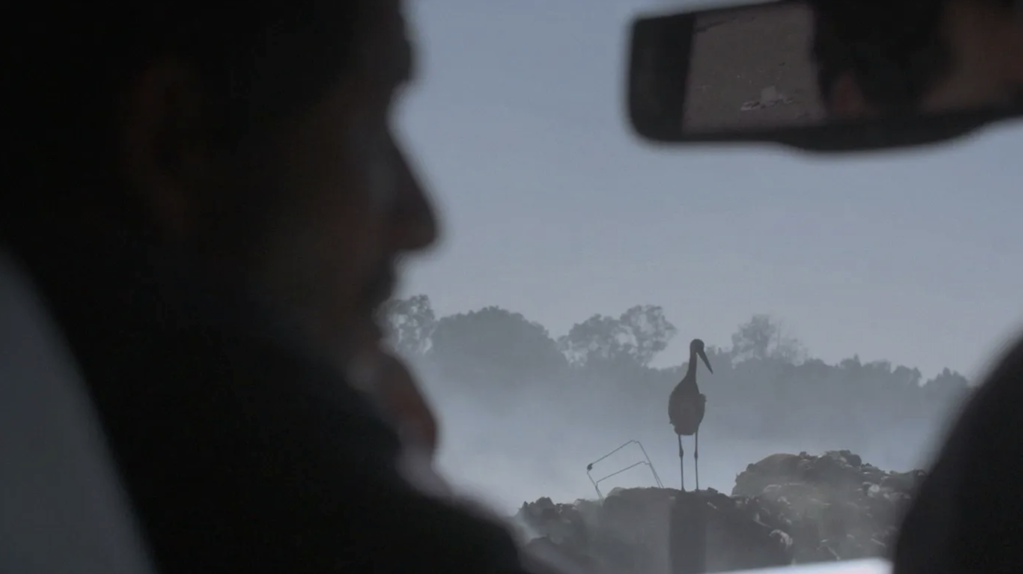 Indivision Indivision