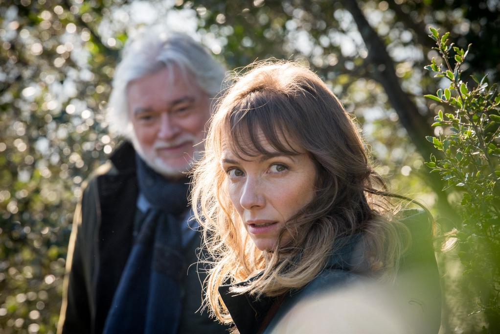 Family Cases Family Cases