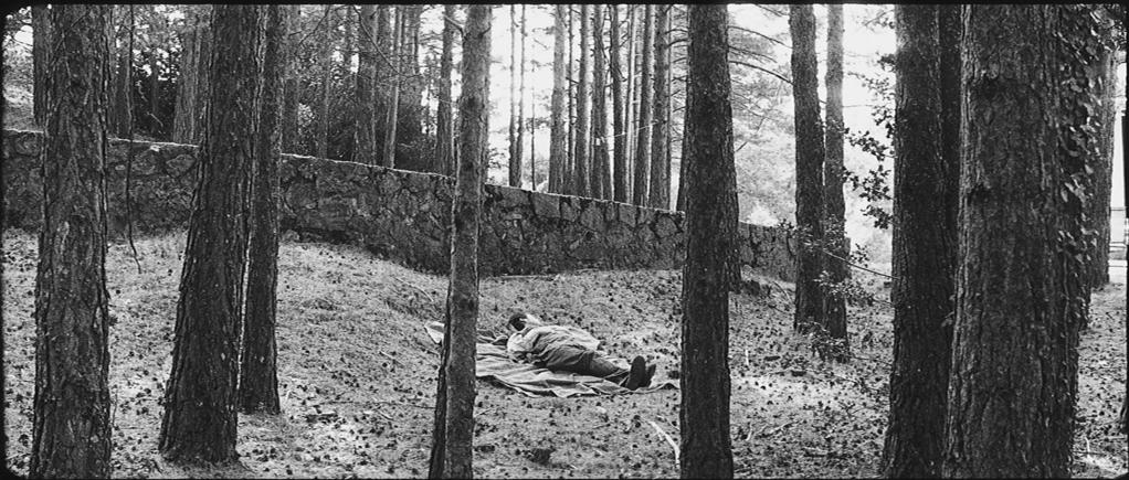 Sueño y silencio Sueño y silencio