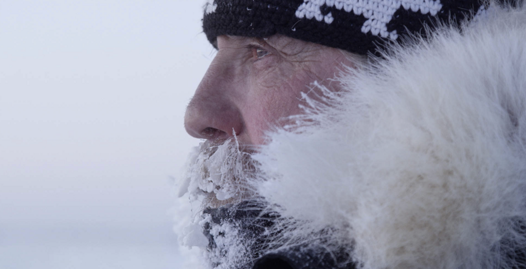 Kingdom of the Polar Bears Kingdom of the Polar Bears