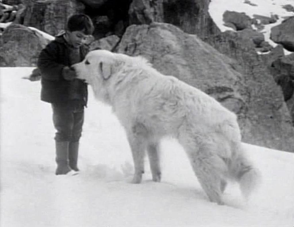 Belle and Sebastian Belle and Sebastian