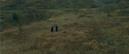 Two Youths Died Two Youths Died