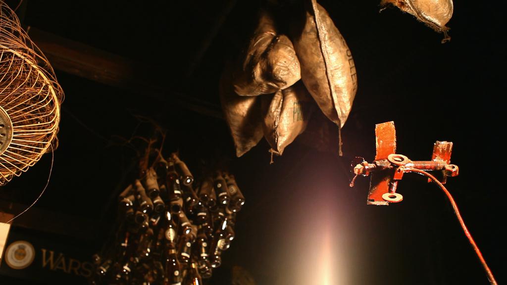 The Old Cat The Old Cat