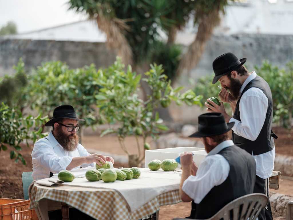 Tu choisiras la vie Tu choisiras la vie