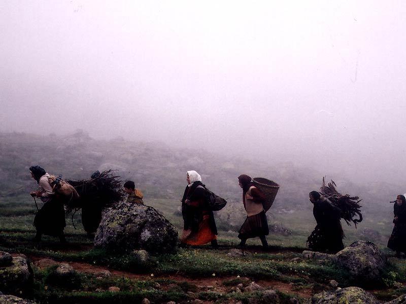 Waiting for the clouds Waiting for the clouds