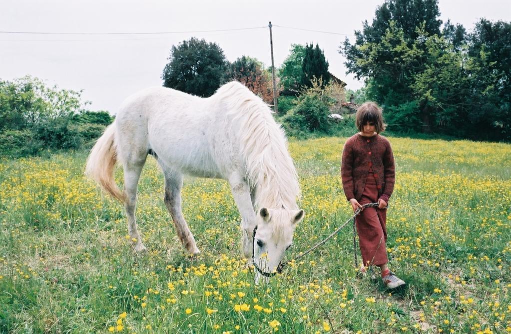 La Fille du loup maigre La Fille du loup maigre