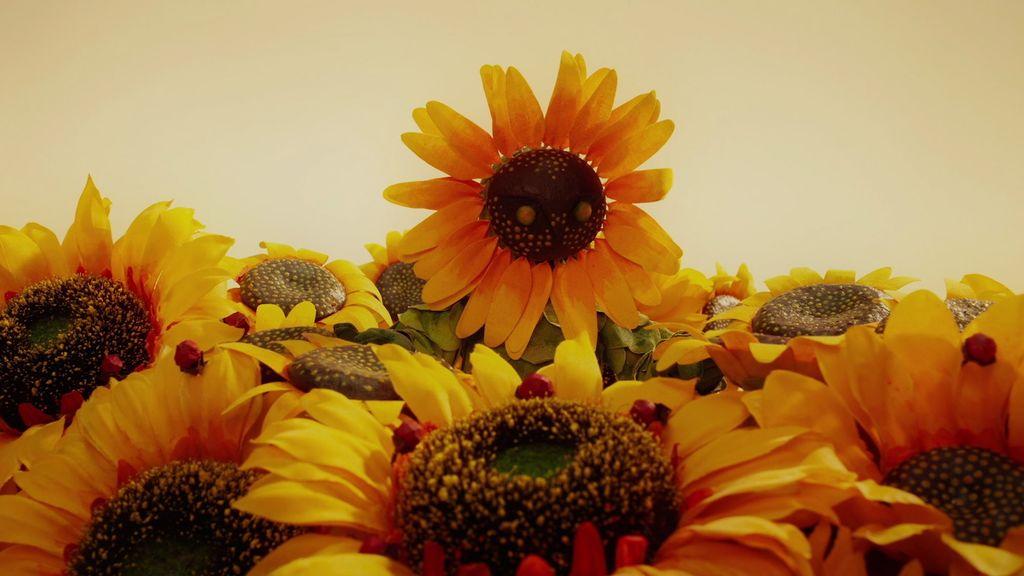 Soleils dérisoires Soleils dérisoires