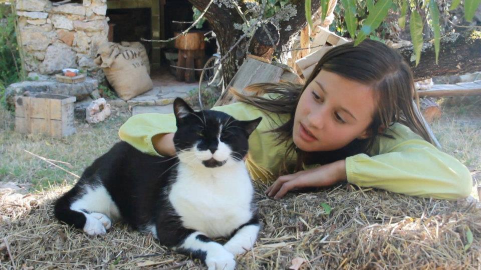 Cactus vinaigrette Cactus vinaigrette