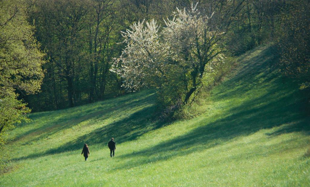 The White Flowers and the Moon The White Flowers and the Moon