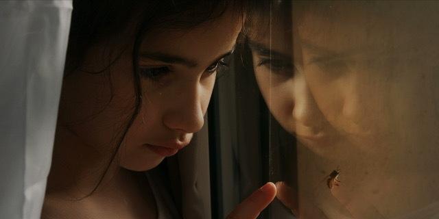 Pistachio Chocolate Pistachio Chocolate