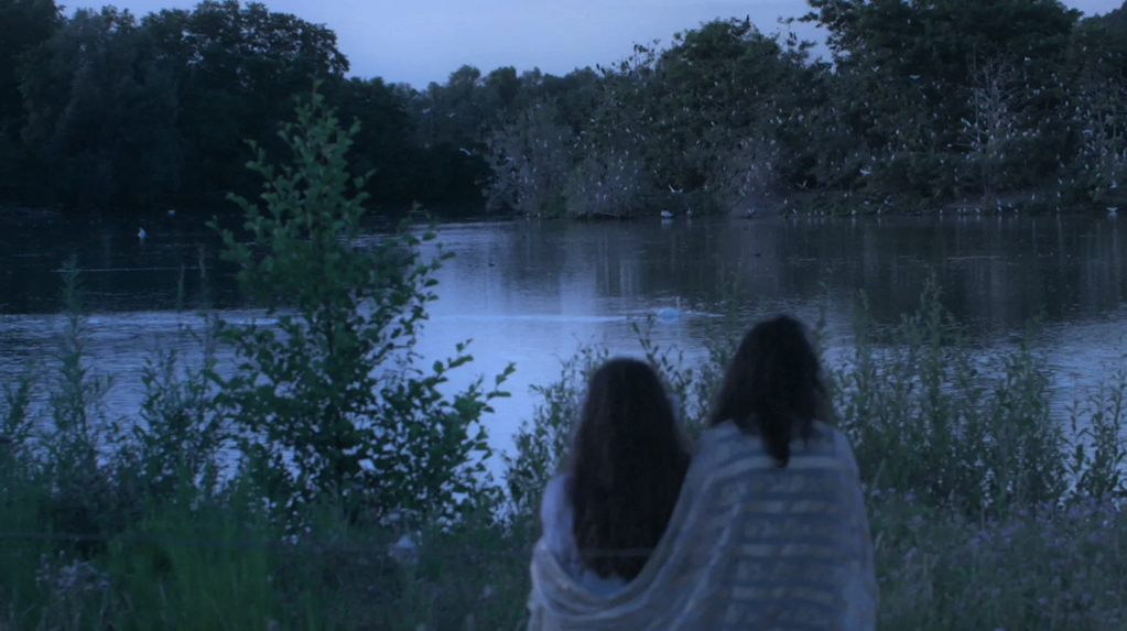 Indivision Indivision