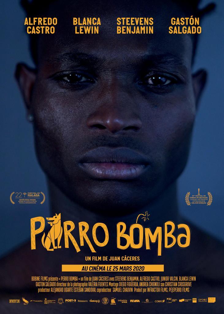 Perro Bomba Perro Bomba