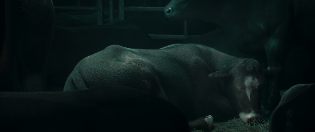 M&eacute;lodi Baskal