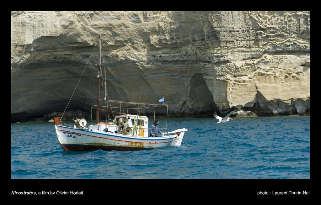 Nicostratos, le pélican Nicostratos, le pélican
