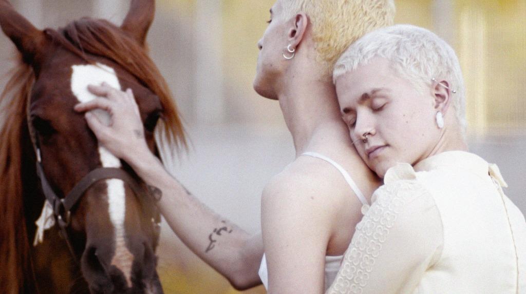 Mostra - Festival international du film de S&atilde;o Paulo  - 2021