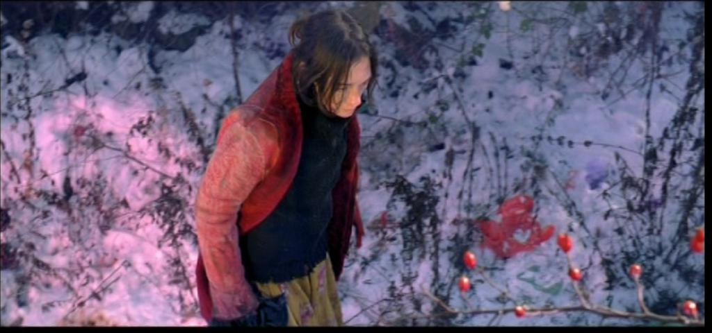 International Film Festival Rotterdam (IFFR) - 2013