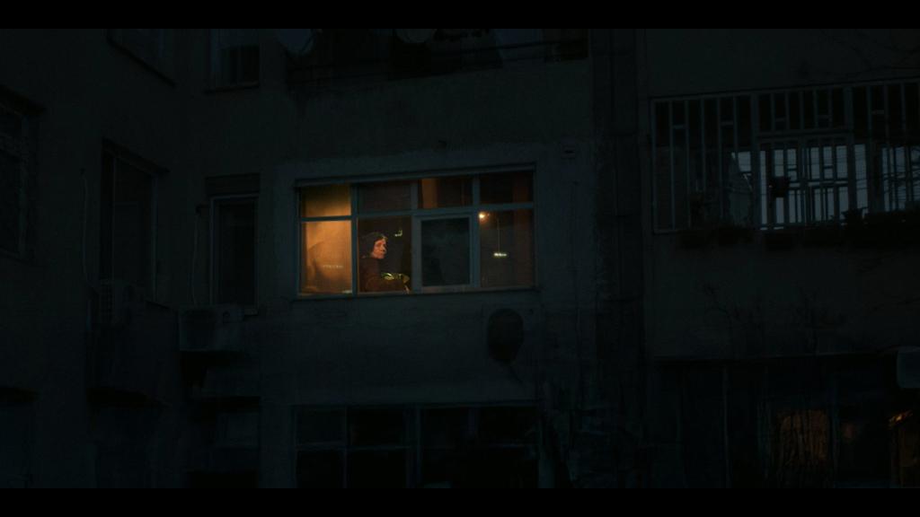 Le Continent somnambule Le Continent somnambule