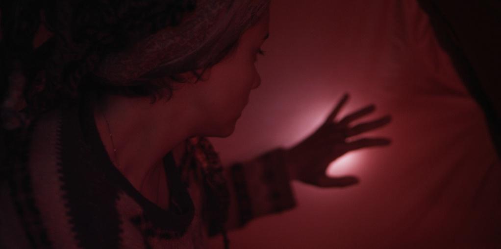 Festival du film fran&ccedil;ais de Sacramento - 2014