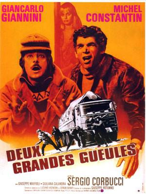 Il Bestione Il Bestione