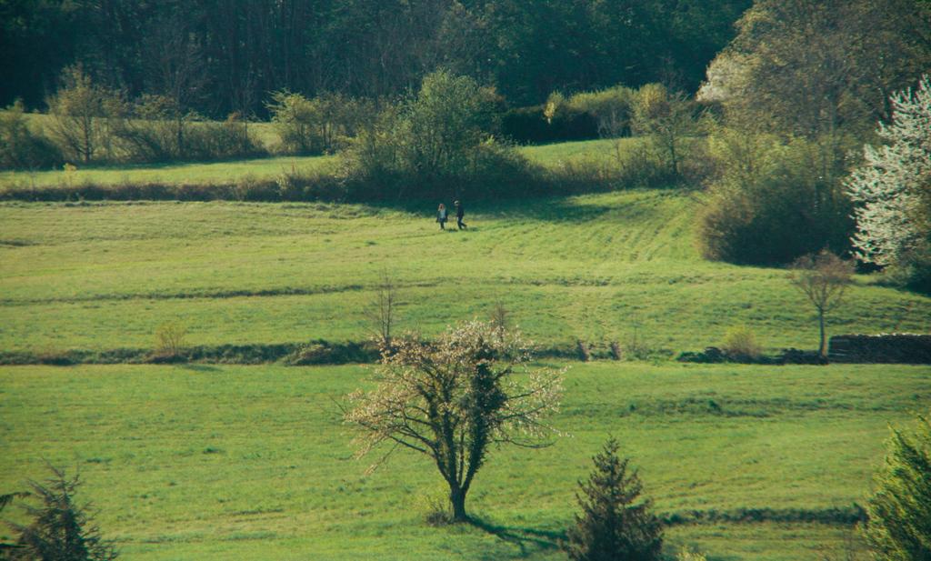 Les Fleurs blanches et la Lune