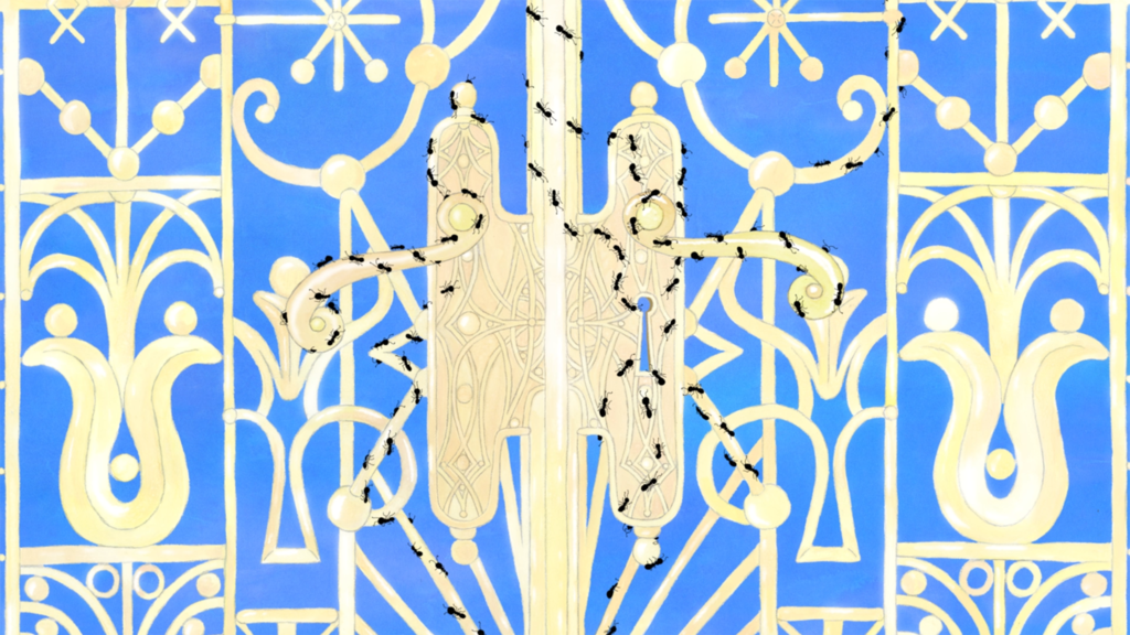 Winterthur International Short Film Festival - 2022