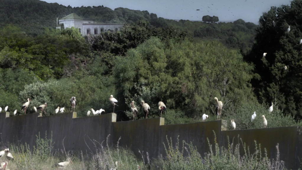 Indivision Indivision