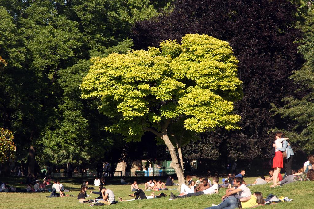 Micka&euml;l Foucault