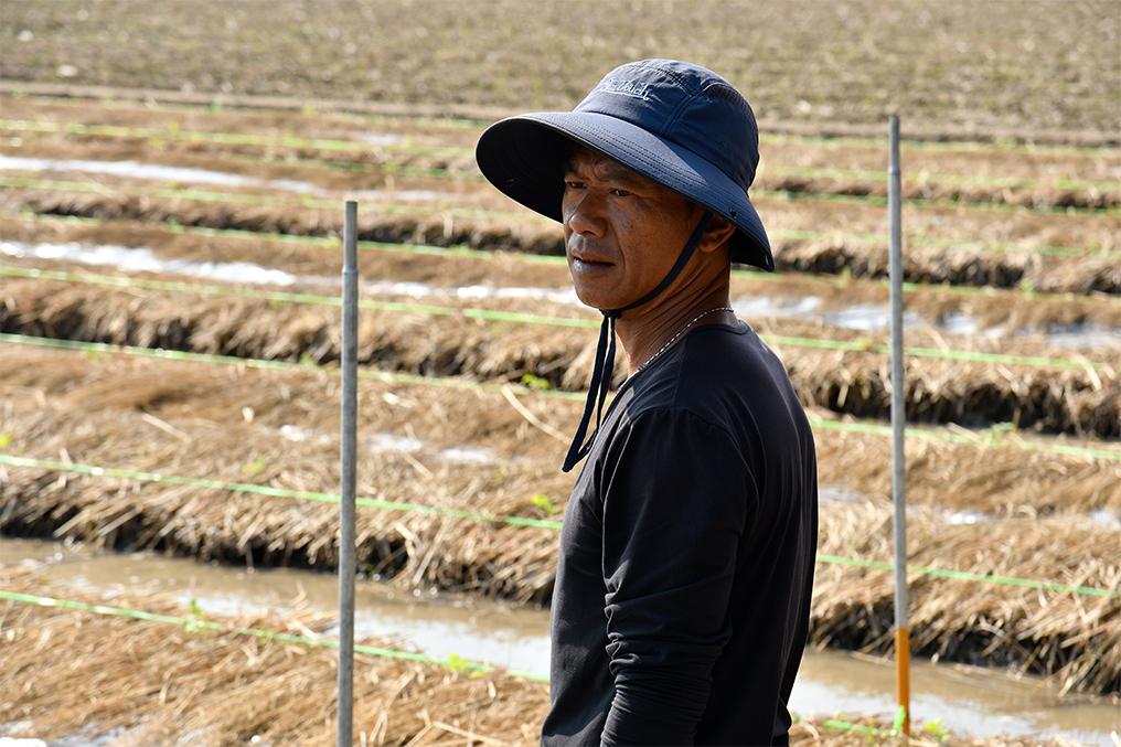 A Holy Family A Holy Family