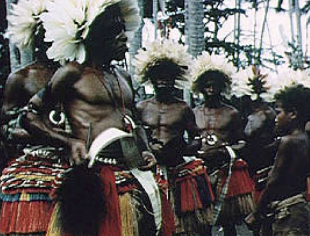 Visages mystérieux d'Amazonie Visages mystérieux d'Amazonie