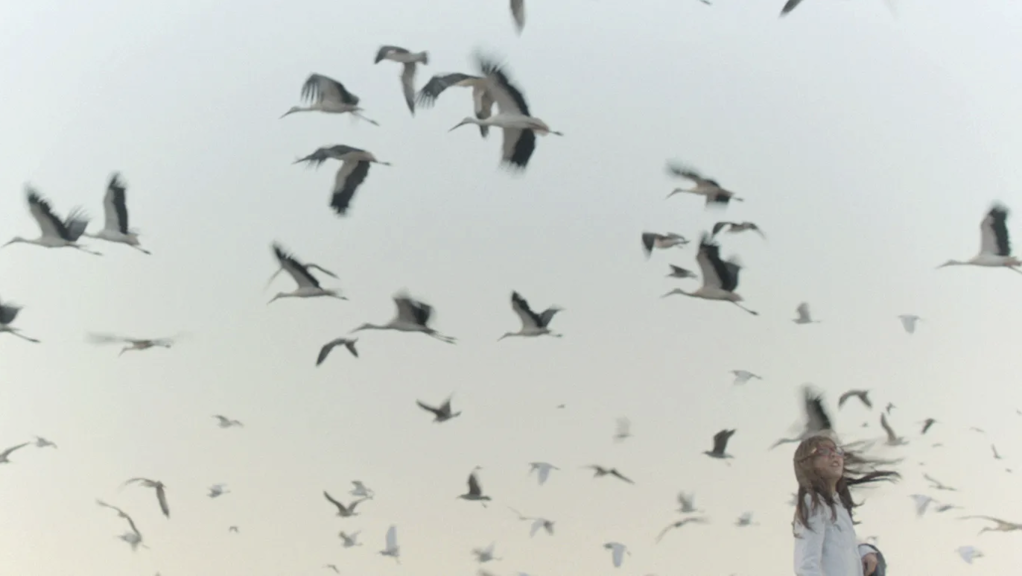 Indivision Indivision